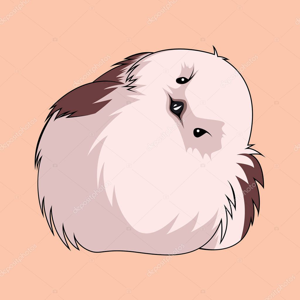 Cute baby bird, fat, and ight pink fur.