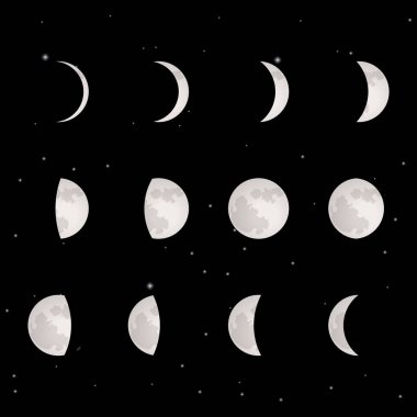 Moon aşama vektör çizim