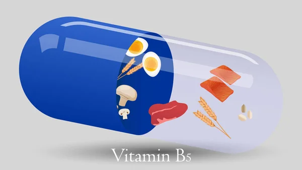 Vitamin hapı vektör tasarımı. Vitamin B5 vektör illüstrasyon