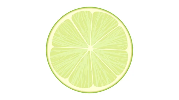 Cut Lime Isolated Vector Illustration — Stock Vector