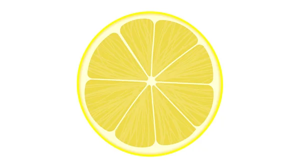 Cut Lemon Isolated Vector Illustration — Stock Vector