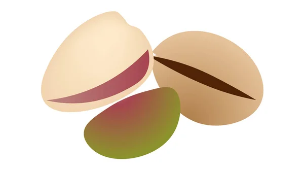 Pistachos Aislados Sobre Fondo Blanco Vector Ilustración — Vector de stock