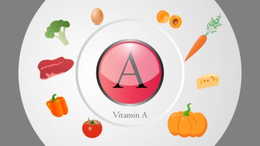A vitamini kaynakları vektör illüstrasyon