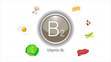 Vitamin B2 kaynakları vektör illüstrasyon