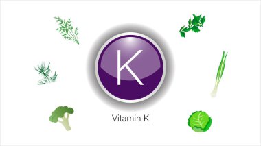 K vitamini kaynakları vektör illüstrasyon