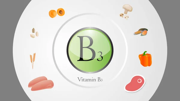 Vitamin B3 kaynakları vektör illüstrasyon