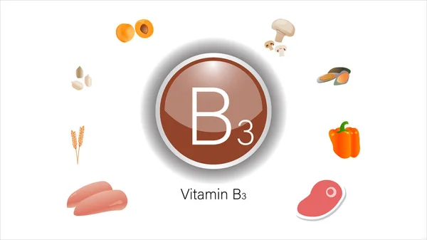 Vitamin B3 kaynakları vektör illüstrasyon