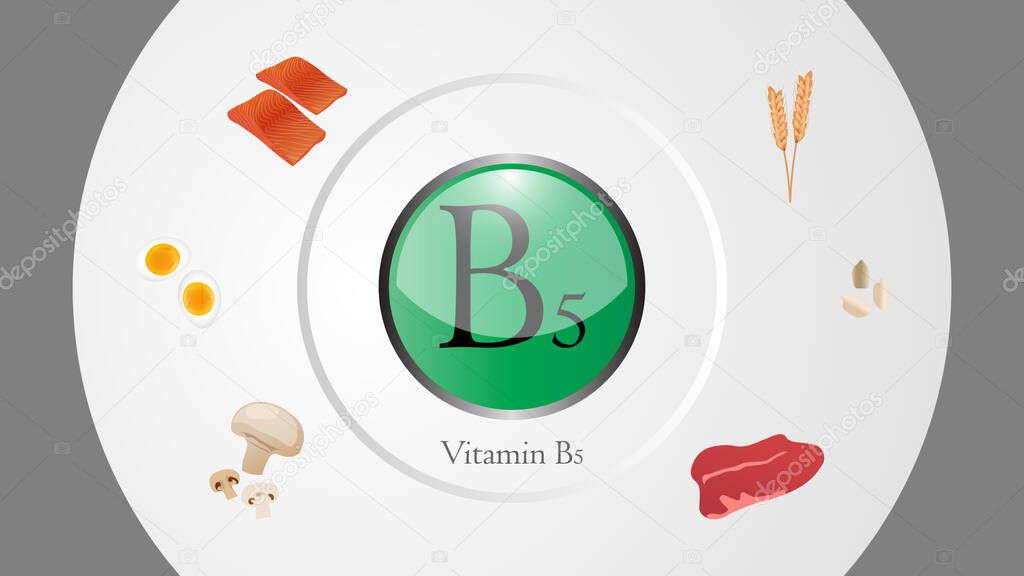 Vitamin B5 sources vector illustration