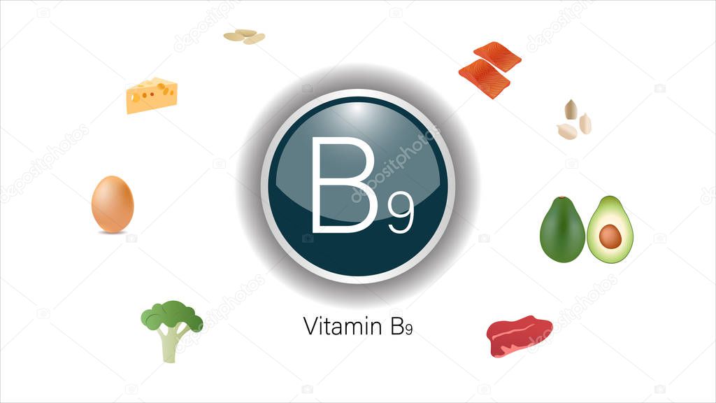 Vitamin B9 sources vector illustration