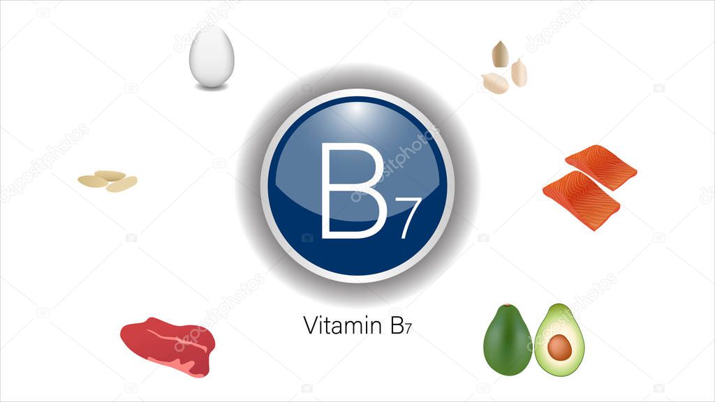 Vitamin B7 sources vector illustration