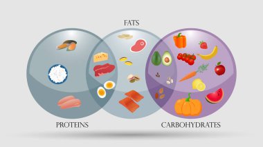 Proteinler, yağlar ve karbonhidratlar şeması. Beslenme vektör illüstrasyon