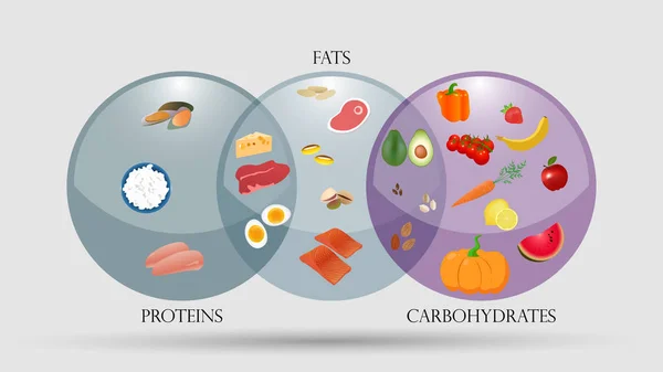 Proteine Grassi Carboidrati Schema Illustrazione Del Vettore Nutrizionale — Vettoriale Stock