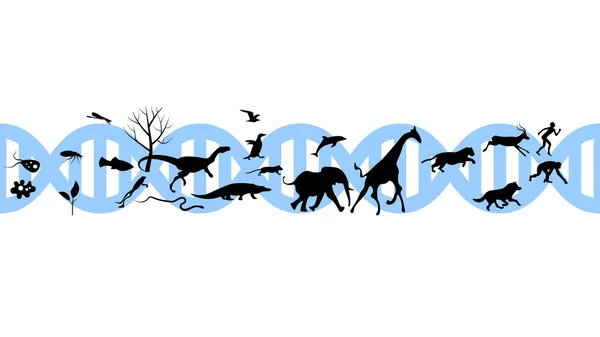 動物のアイコンのベクトルデザインのセット 動物アイコンコレクション 進化図 — ストックベクタ