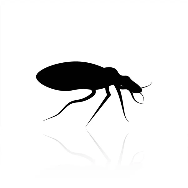 Icono Error Diseño Vectores Vector Insectos — Archivo Imágenes Vectoriales