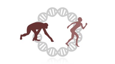 Türlerin illüstrasyonunun evrimi. Evrim vektör tasarımı