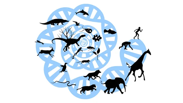 Видовая Иллюстрация Дизайн Вектора Эволюции — стоковый вектор