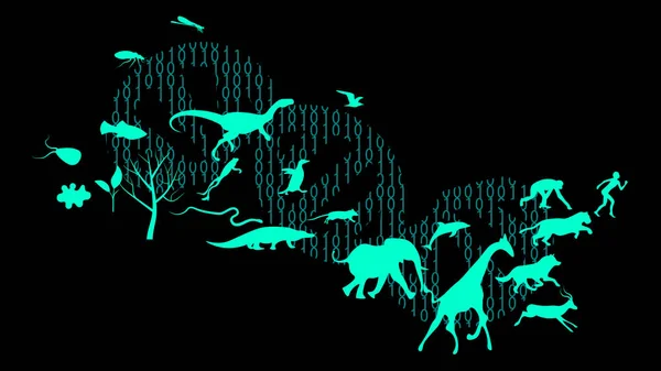Evrim teorisi illüstrasyon vektör tasarımı. Türlerin evrimi. DNA - yaşamın molekülü