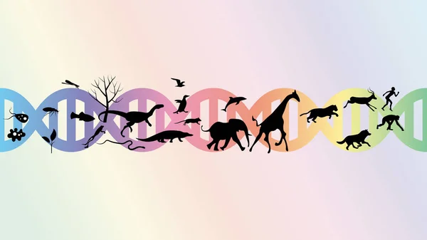 Evrim soyut illüstrasyon vektör tasarımı.