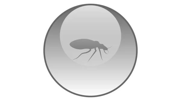 Icono Error Diseño Vectores Vector Insectos — Archivo Imágenes Vectoriales