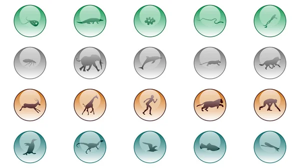 Conjunto Animales Iconos Diseño Vectores Colección Iconos Animales Evolución Ilustración — Archivo Imágenes Vectoriales