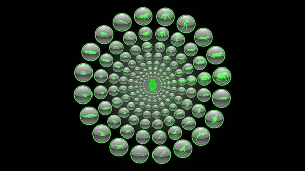 Grüne Neonsymbole Über Die Evolution Der Arten Tiere Symbole Vektor — Stockvektor