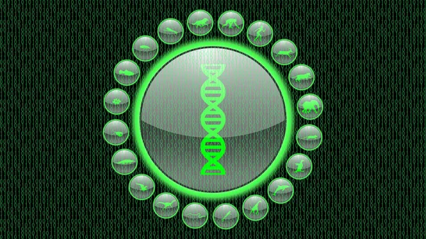 Türlerin evrimi hakkında yeşil neon ikonlar. Hayvanlar simge vektörü.