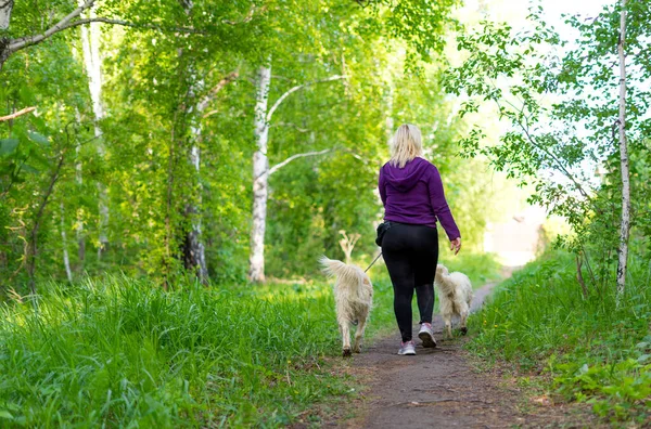 A woman walks in the woods with her two cute dogs.