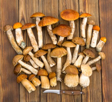 Yenilebilir farklı yabani mantarlar ve eski ahşap masa manzaralı bıçak.. 