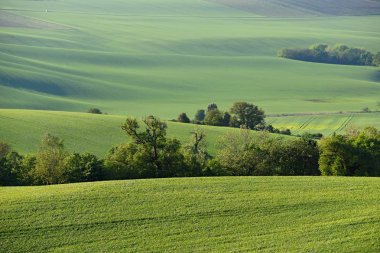Moravyalı Tuscany. Güzel bahar manzara Kyjov town yakınındaki south Moravia'deki / daki. Çek Cumhuriyeti - Europe.