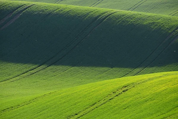 Mähriska Toscana Vackra Våren Landskap South Moravia Nära Kyjov Town — Stockfoto