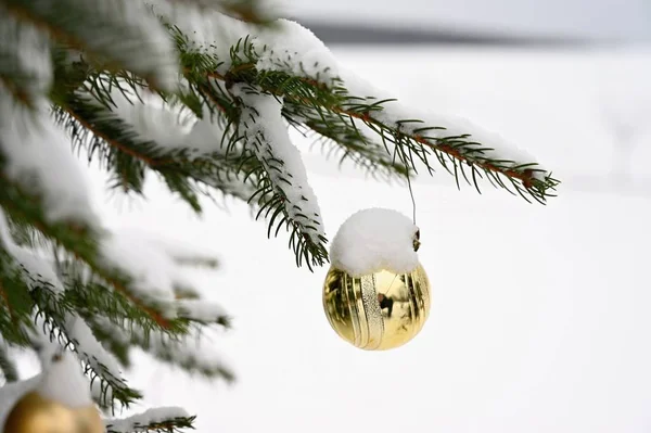 크리스마스 전나무 나뭇가지에 크리스마스와 시간에 — 스톡 사진