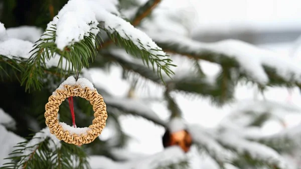 크리스마스 전나무 나뭇가지에 크리스마스와 시간에 — 스톡 사진