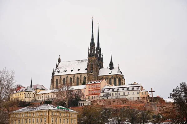 Собор Святых Петра Павла Брно Старый Город Чехии Зимой Европа — стоковое фото