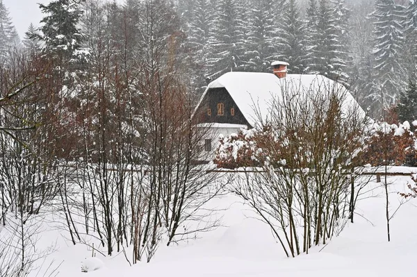 Casa Nevada Hermoso Concepto Paisaje Invierno Con Edificio Nieve —  Fotos de Stock