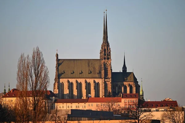 ペトロフ 聖ピーターとポール冬のチェコ共和国のブルノの旧市街の大聖堂 ヨーロッパ — ストック写真