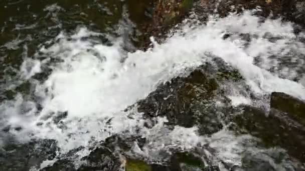 Belle petite cascade avec de l'eau propre dans la forêt. Mouvement lent .