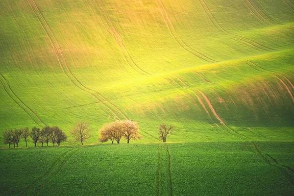 Paisaje del atardecer foto de Moravia Toscana en República Checa — Foto de Stock