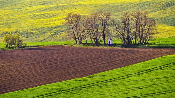 Весняний пейзаж сонця фото Моравської Тоскані в Чеській Республіці — стокове фото