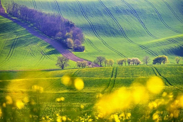 Primavera tramonto paesaggio foto Moravia Toscana in Repubblica Ceca — Foto Stock