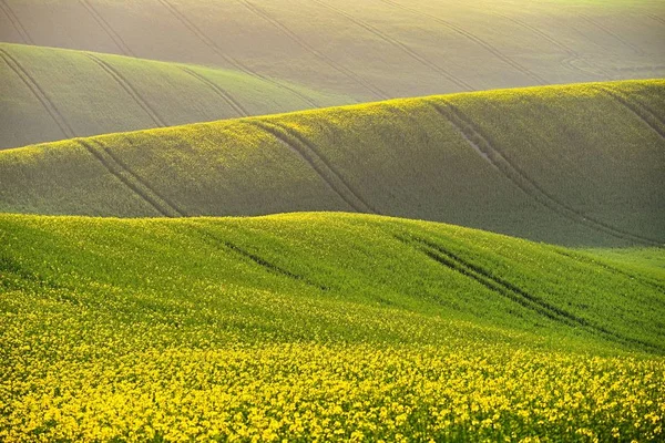 Primavera pôr do sol paisagem foto de Morávia Toscana na República Checa — Fotografia de Stock