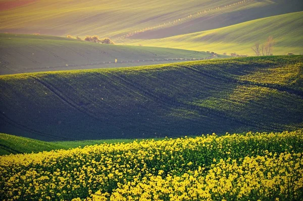 Primavera tramonto paesaggio foto Moravia Toscana in Repubblica Ceca — Foto Stock