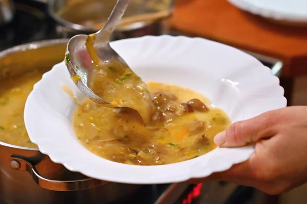 접시에 수프를 복용. 접시에 담긴 맛있는 수제 버섯 수프. — 스톡 사진