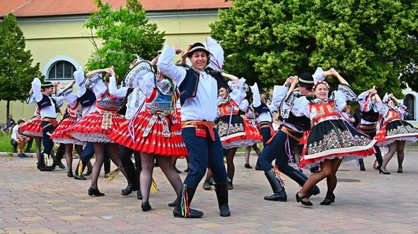 Brno-Bystrc, Česká republika, 22. června 2019. Tradiční Česká slavnost. Folkový festival. Děvčata a chlapci tančí v krásných kostýmech. Starý křesťanský svátek, den hojnosti, radosti a prosperity. — Stock fotografie