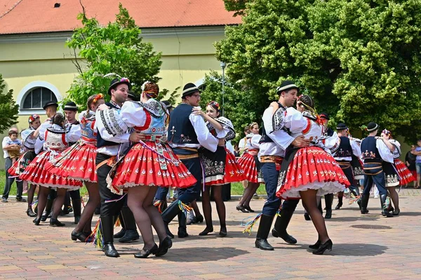 Brno-Bystrc, Česká republika, 22. června 2019. Tradiční Česká slavnost. Folkový festival. Děvčata a chlapci tančí v krásných kostýmech. Starý křesťanský svátek, den hojnosti, radosti a prosperity. — Stock fotografie