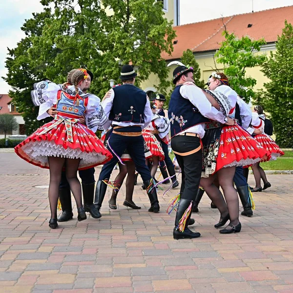브르노 - 체코 비스트락, 2019년 6월 22일. 전통 체코 축제. 민속 축제. 소녀와 소년은 아름다운 의상을 입고 춤을 추고 있습니다. 오래된 기독교 휴일, 풍요로움, 기쁨과 번영의 날. — 스톡 사진