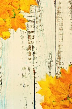 Tahta üzerinde renkli yapraklar olan sonbahar arkaplanı. Düz konum, üst görünüm, kopyalama alanı.