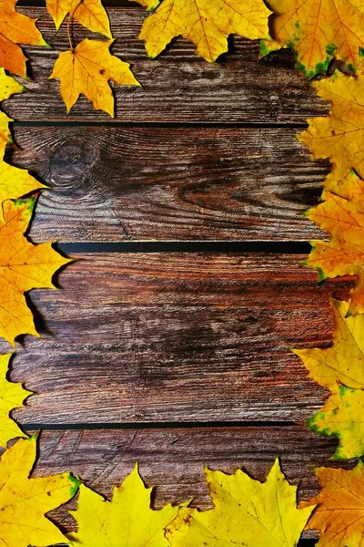 Jesienne tło z kolorowymi liśćmi na drewnianej desce. Płaskie ułożenie, widok z góry, przestrzeń do kopiowania. — Zdjęcie stockowe
