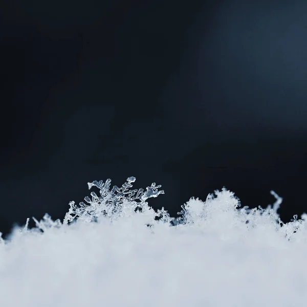 Натуральные снежинки на снегу, фото настоящие снежинки — стоковое фото