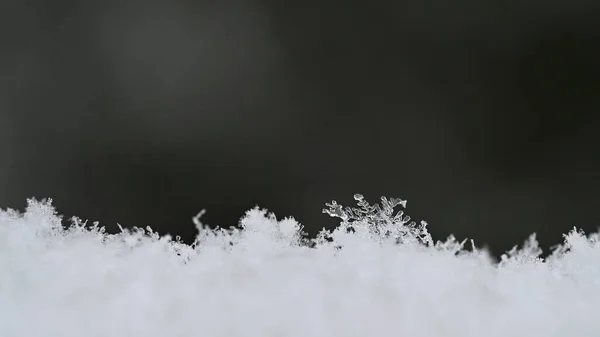 Natuurlijke sneeuwvlokken op sneeuw, foto echte sneeuwvlokken — Stockfoto