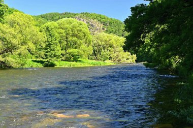 Nehir, orman, güneş ve mavi gökyüzüyle güzel bir yaz manzarası. Doğal renkli bir geçmişi var. Jihlava Nehri, Çek Cumhuriyeti - Avrupa.